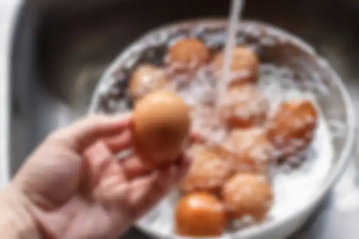 Mencuci Telur
