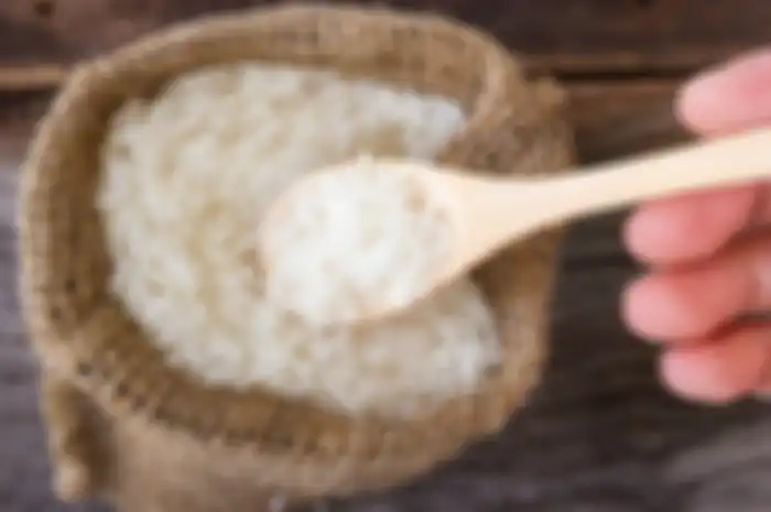Menu Diet Nasi Shirataki