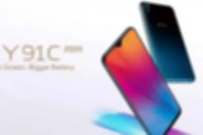 Vivo Y91C (2020)