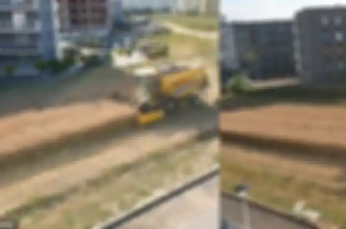 Potret lahan seorang petani yang dikelilingi apartemen