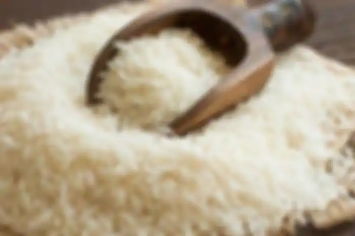 Cara menyimpan beras agar terbebas dari kutu beras.