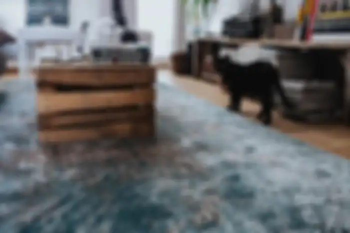 Berikut ini langkah yang tepat dalam mencuci karpet dan keset yang terkena pipis kucing supaya tidak bau.