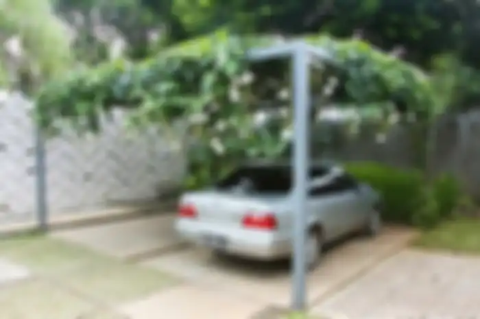 Ilustrasi tanaman untuk peneduh carport.