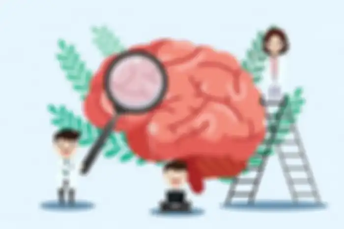 Brain