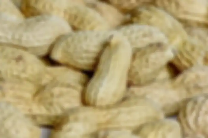 Kacang tanah memiliki banyak manfaat untuk tubuh.