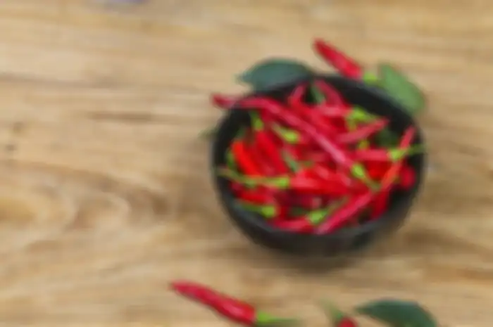 Ilustrasi sambal
