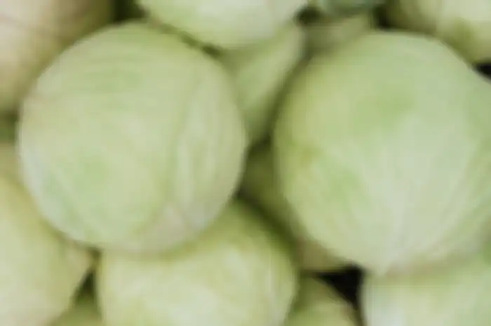 Sayur kol.