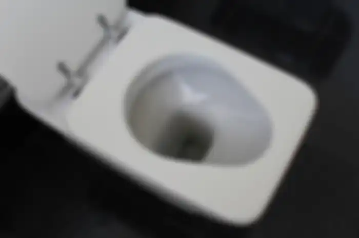 Cara membersihkan toilet yang kotor dan bau 