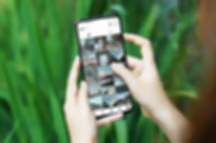 Fitur AI Palette di OPPO Reno6 untuk membuat Feed Instagram