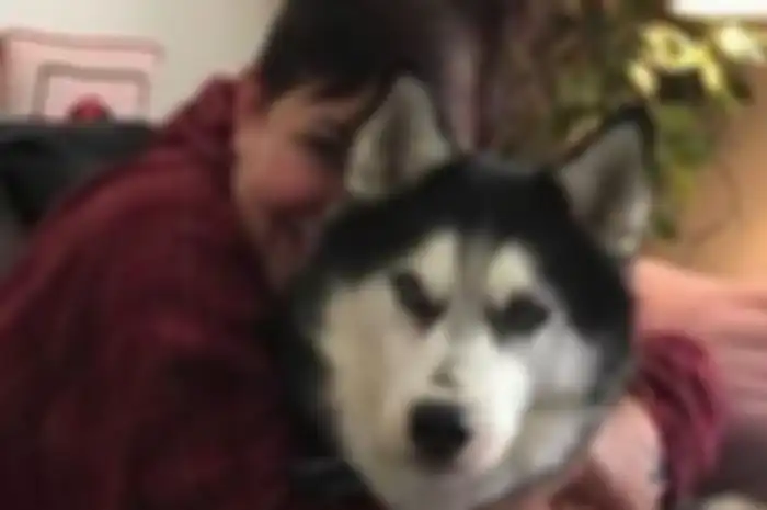 Stephanie Herfel bersama dengan anjing peliharaannya