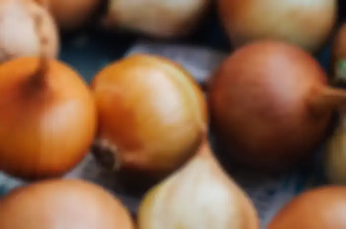  bawang bombay manjur atasi infeksi telinga