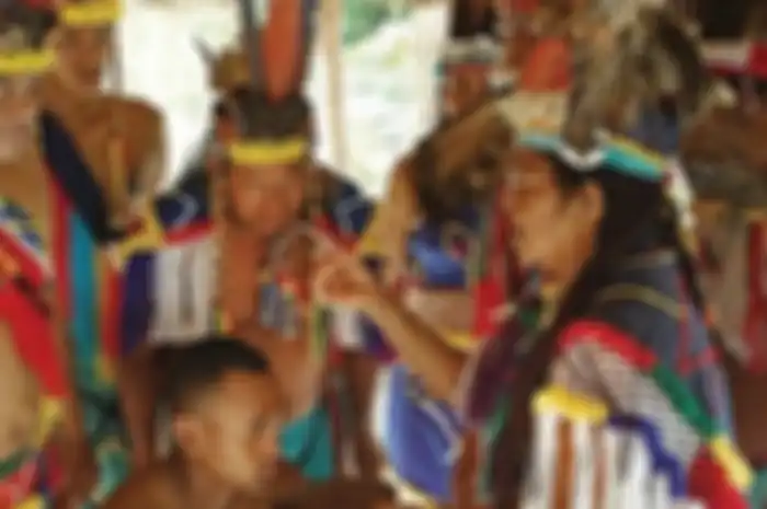 Suku indiana, Karibia