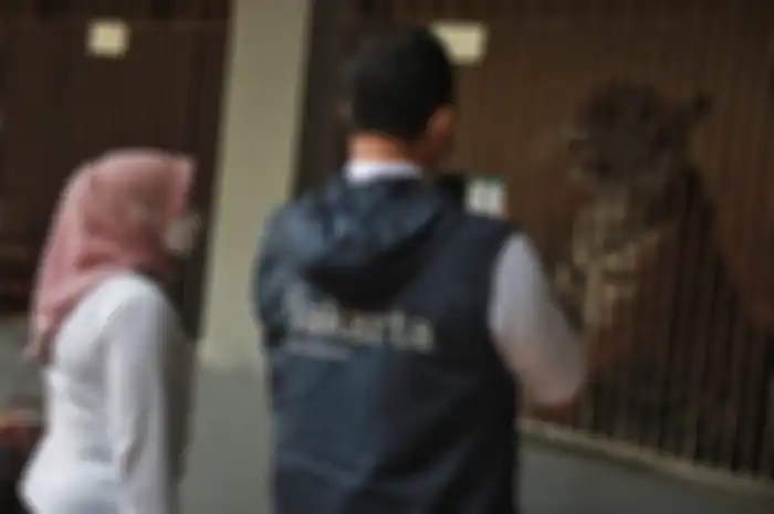 Gubernur DKI Jakarta Anies Baswedan menjenguk 2 warga Jakarta yang terpapar virus Corona. Anies enggan memaksa sang pasien menjalani isolasi di Wisma Atlet Kemayoran.