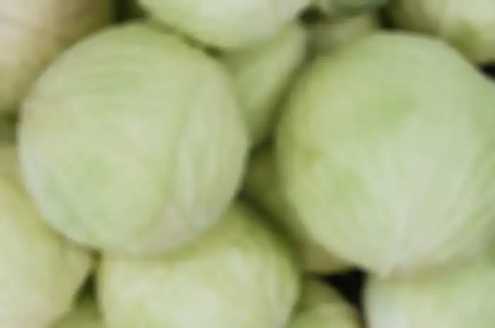 Kubis dapat mencegah kanker, termasuk kanker payudara