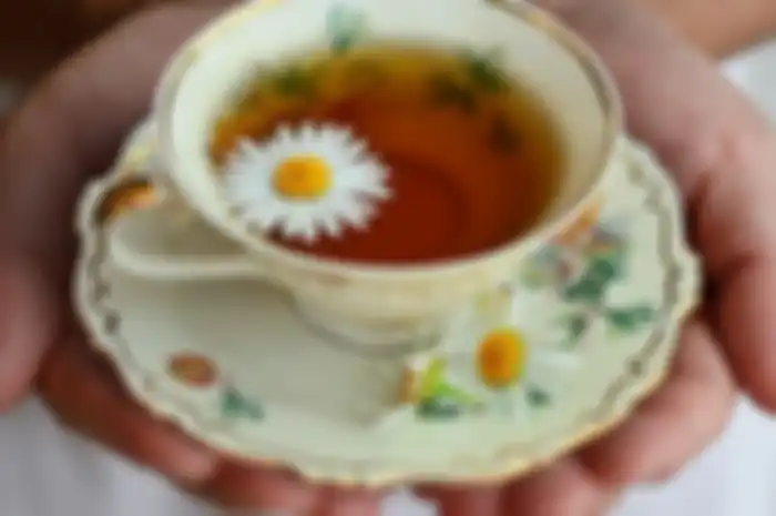 Teh herbal chamomile mujarab atasi insomnia atau susah tidur.