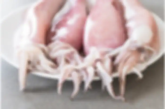 Cumi cumi