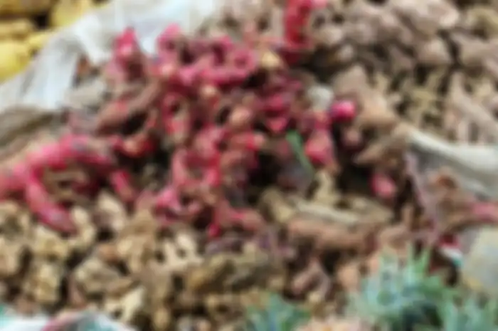 Manfaat  jahe merah.