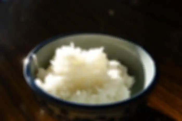 nasi putih