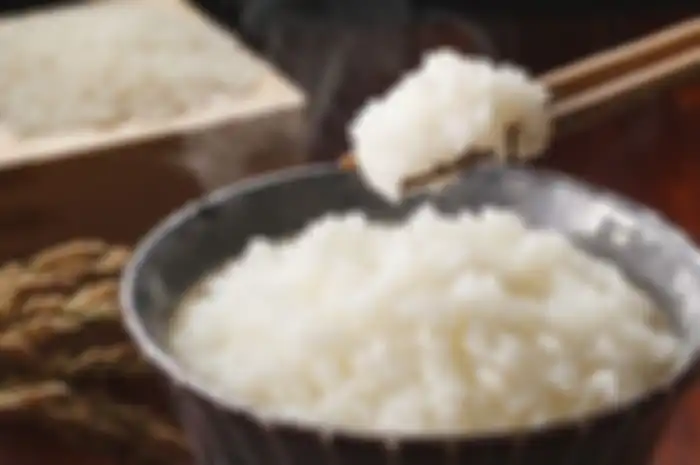 Nasi putih