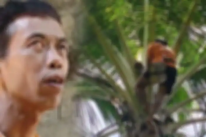 Kisah Parjan, Meski Buta Permanen Tetap Panjat Puluhan Pohon Setiap Hari Demi Anak