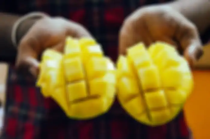 Mangga