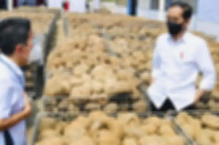 Jokowi saat berdialog dengan petani Porang usia muda.