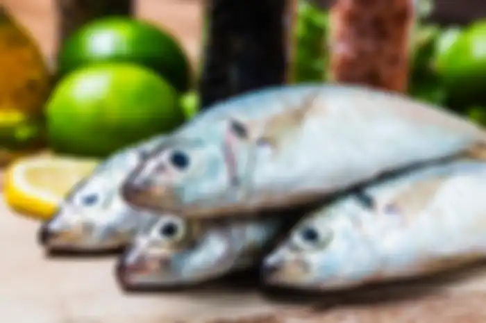 Ilustrasi ikan