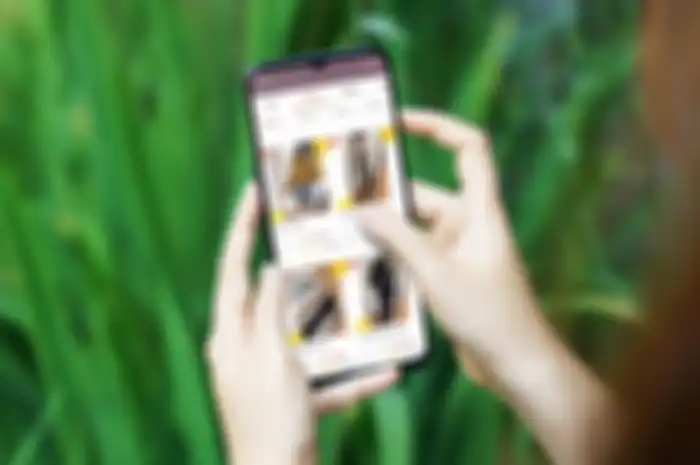 Ilustrasi Oppo A16 untuk mendukung aktivitas bisnis daring