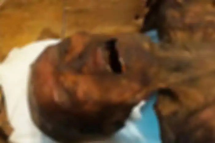 Ini adalah misteri dari Mesir kuno yang telah membingungkan para ahli selama bertahun-tahun, tetapi sekarang para arkeolog mengklaim memiliki jawaban di balik ' The Screaming Mummy' yang menghantui.