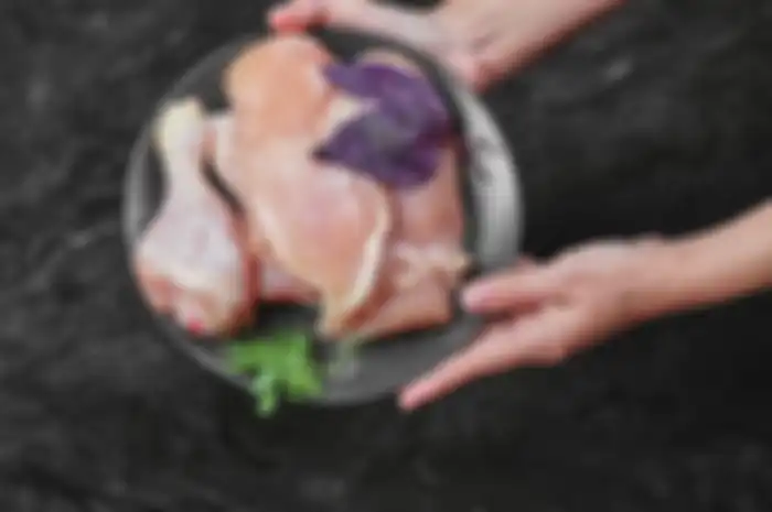 ilustrasi daging ayam