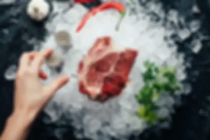 ilustrasi daging beku