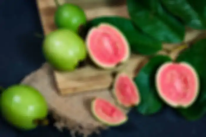 Jambu Biji dikenal sebagai buah yang bisa meningkatkan daya tahan tubuh.