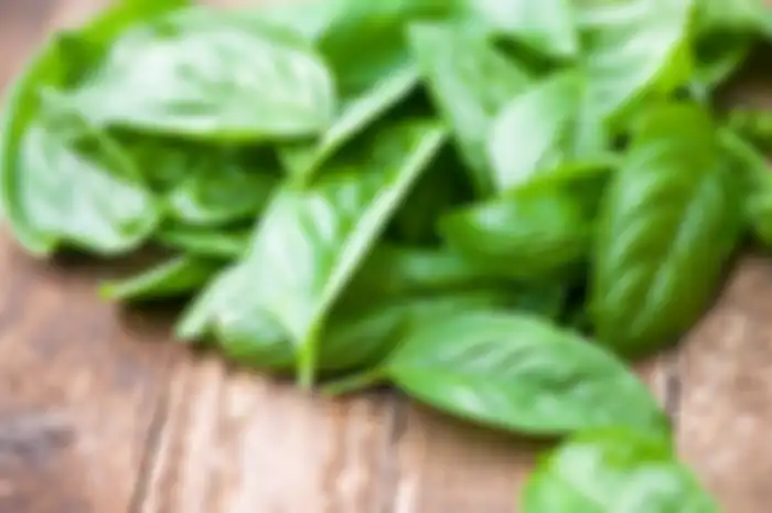 Daun kemangi
