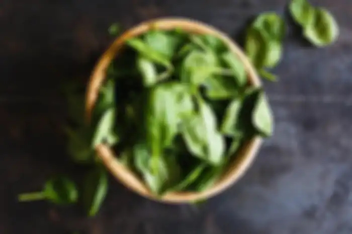 Daun kemangi
