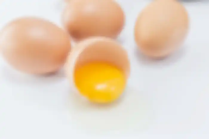 ilustrasi telur ayam