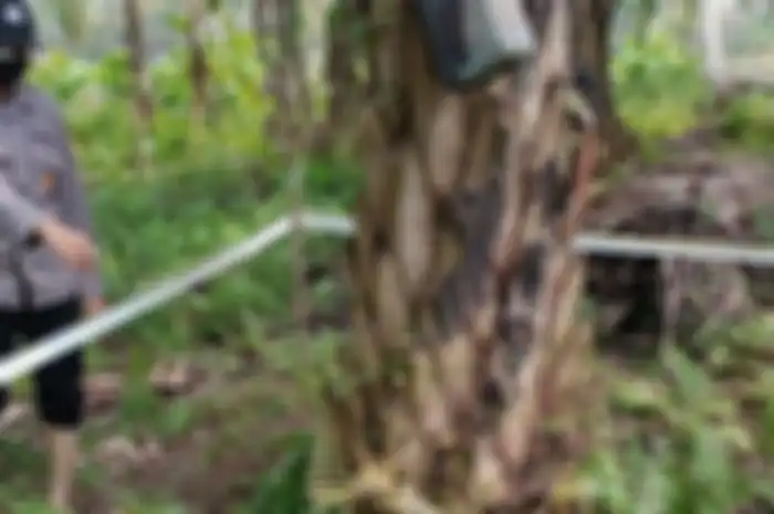 Seorang pria meninggal dunia di sebuah kebun sawit dalam keadaan sekujur tubuh terbakar.