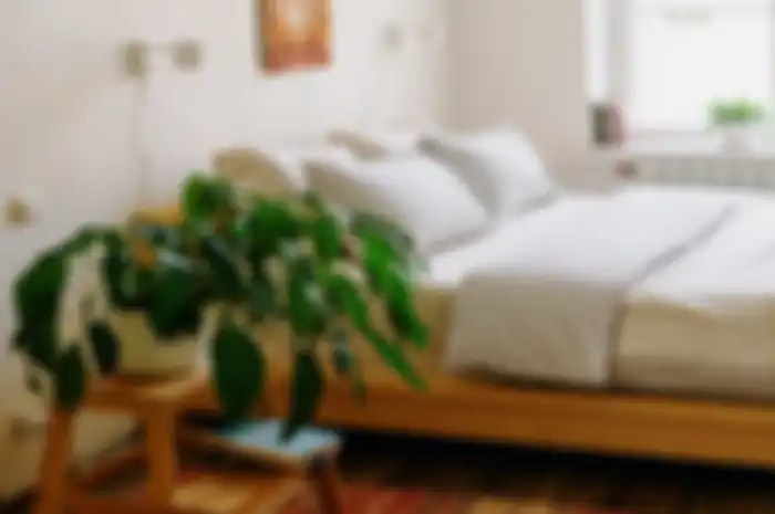 Feng Shui menyimpan tanaman di kamar tidur