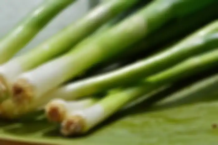 Jangan dipandang sebelah mata, ternyata daun bawang sangat kaya akan manfaat untuk kesehatan tubuh. 