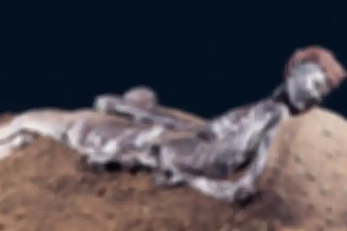 Grauballe Man