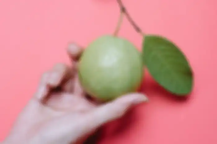 Manfaat daun jambu biji