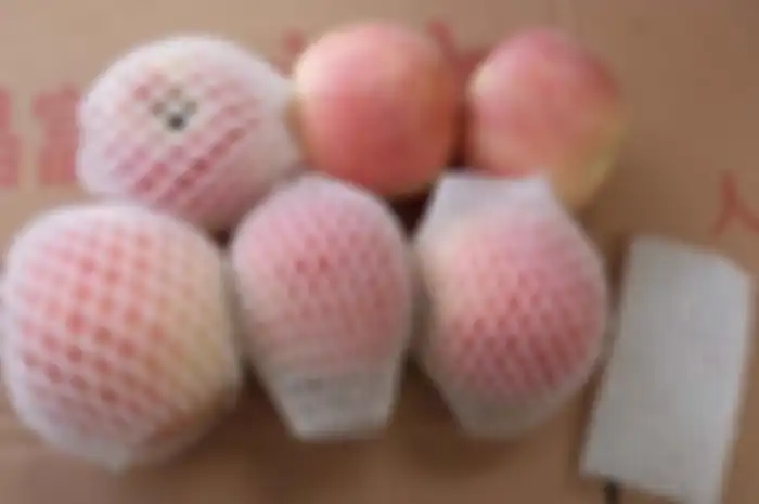 Manfaat jaring buah yang tak banyak diketahui orang. 