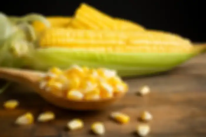 Manfaat jagung untuk kesehatan