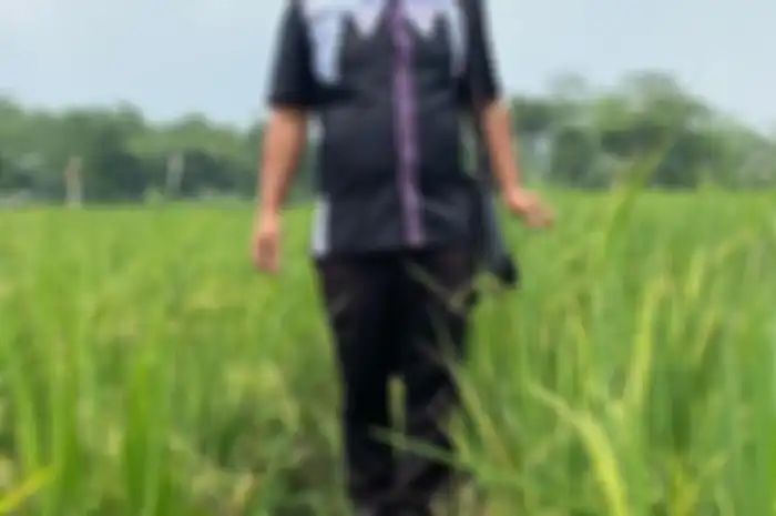 Narji Cagur mencuri perhatian lewat foto panen kebun miliknya di Pekalongan, Jawa Tengah.
