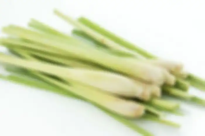 Serai