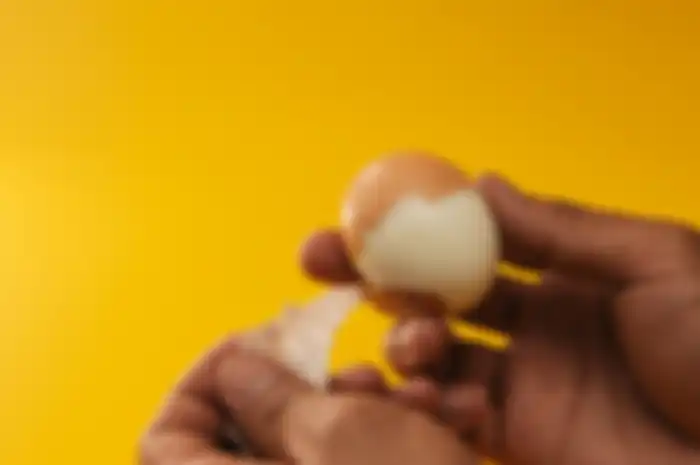 telur rebus
