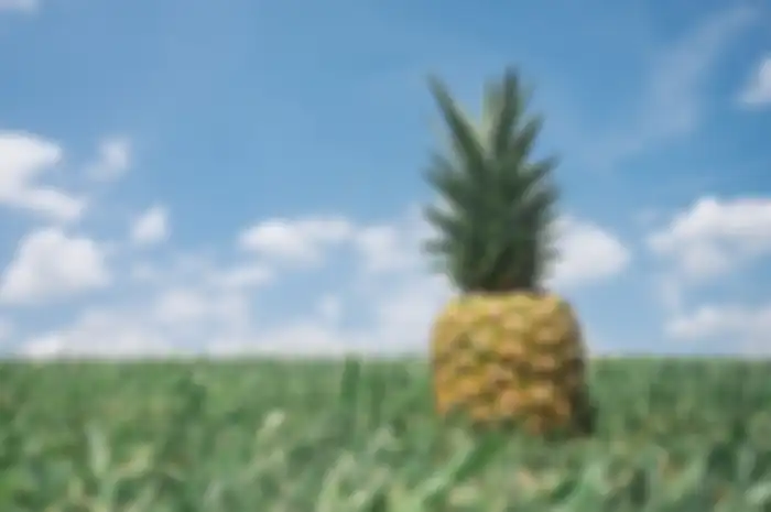 Nanas