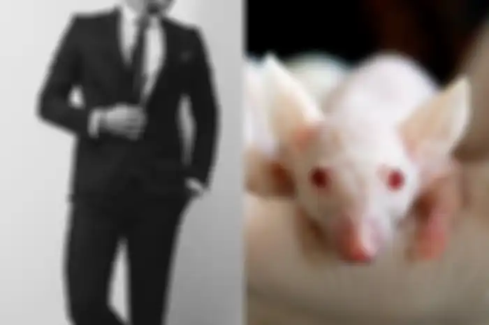 Ilsutrasi pria menikah dengan tikus
