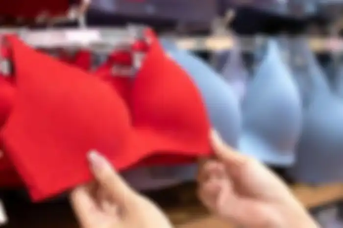 penggunaan bra
