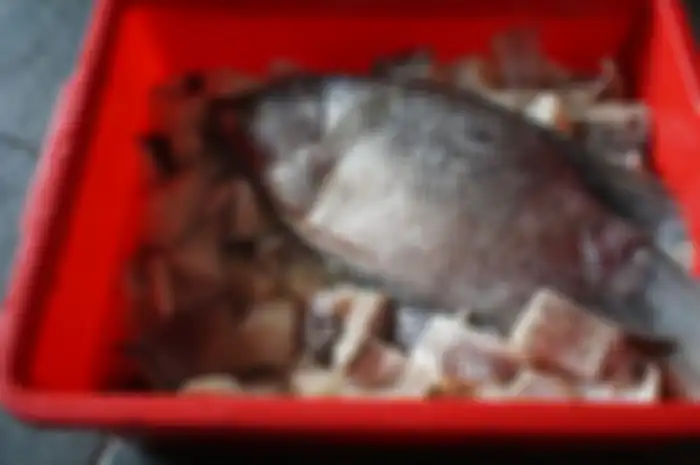 Ciri-ciri ikan gurame yang sebaiknya tidak dibeli.