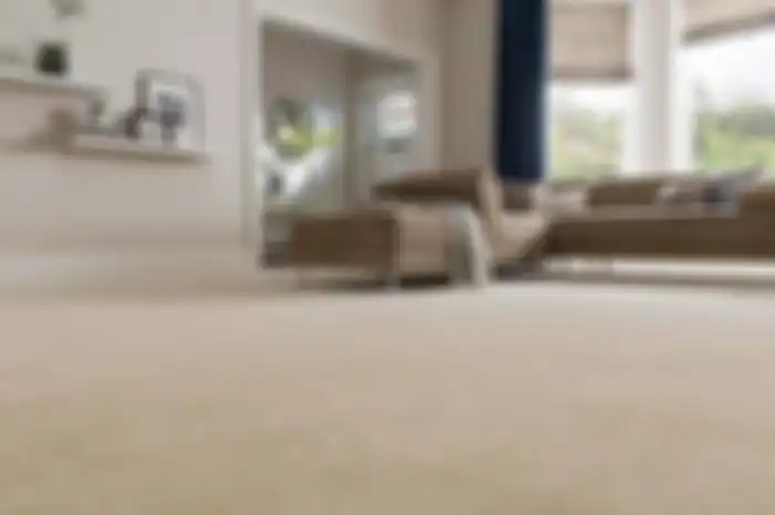 Interior dengan lantai karpet